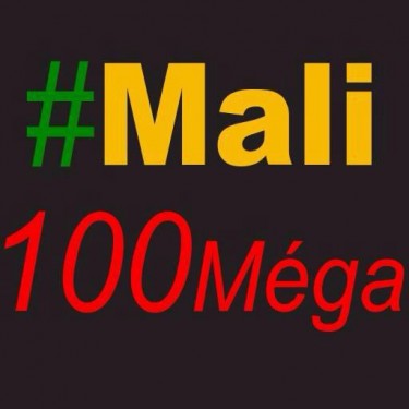 Article : Mali100Mega : pour une connexion à haut débit